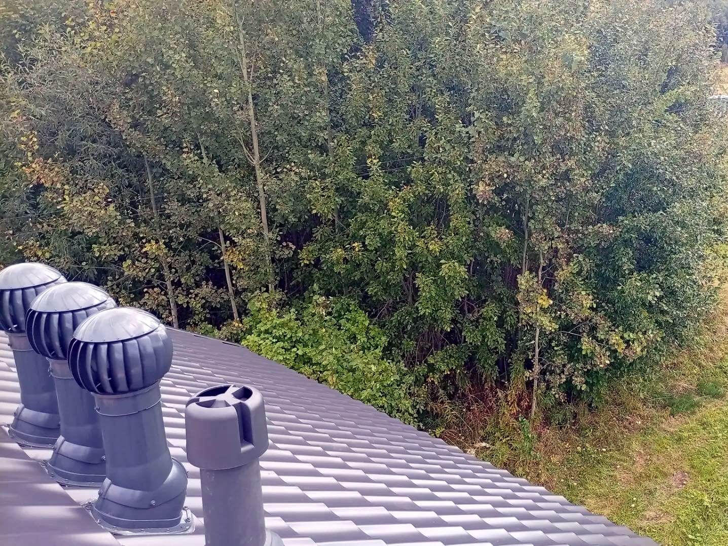 Слайд